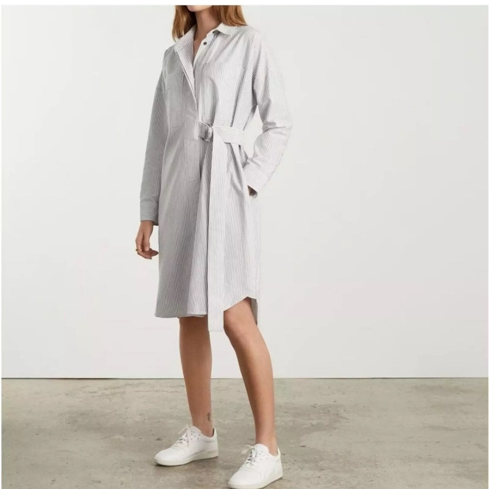 Everlane Gray Striped Oxford Dress